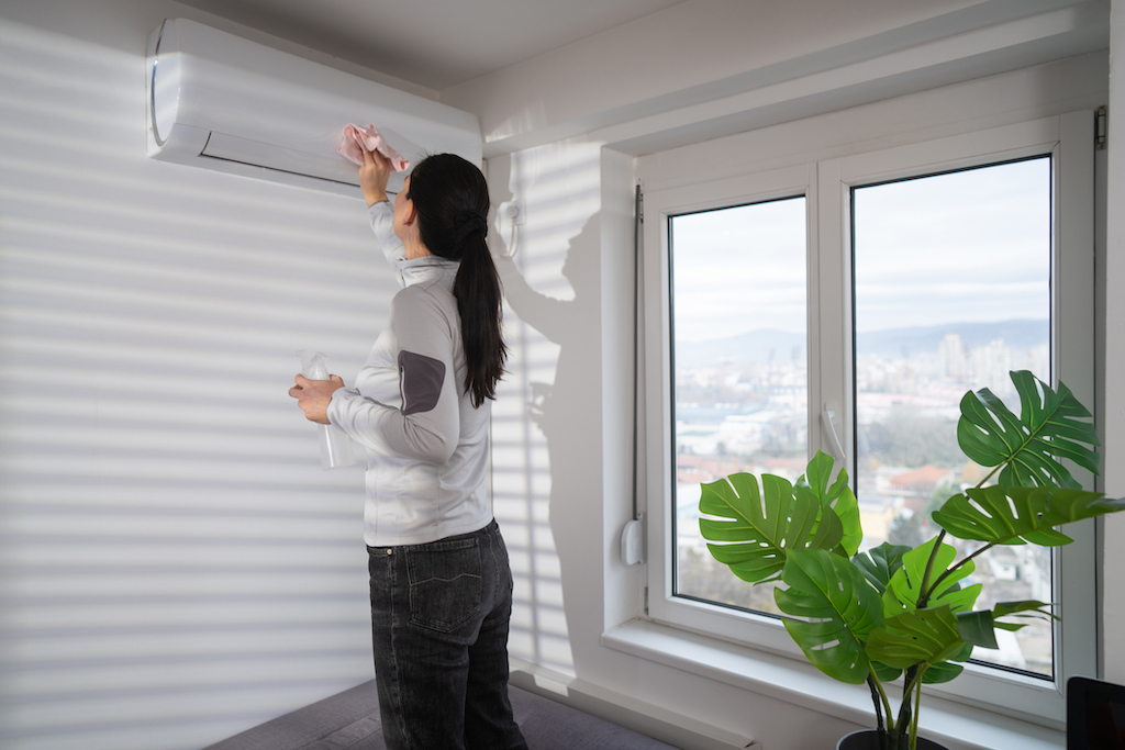 Indoor air quality concept, woman adjusting ac unit with green plant. 