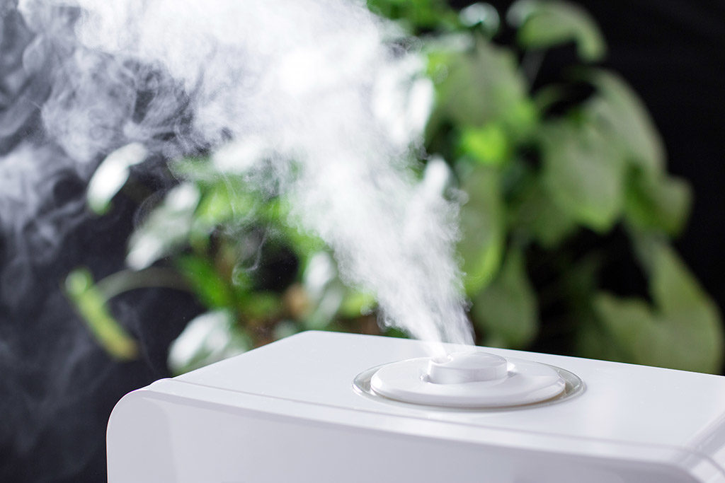 Benefits of Getting a Humidifier and Dehumidifier for Your Texas Home | Heating and AC Repair in Fort Worth, TX