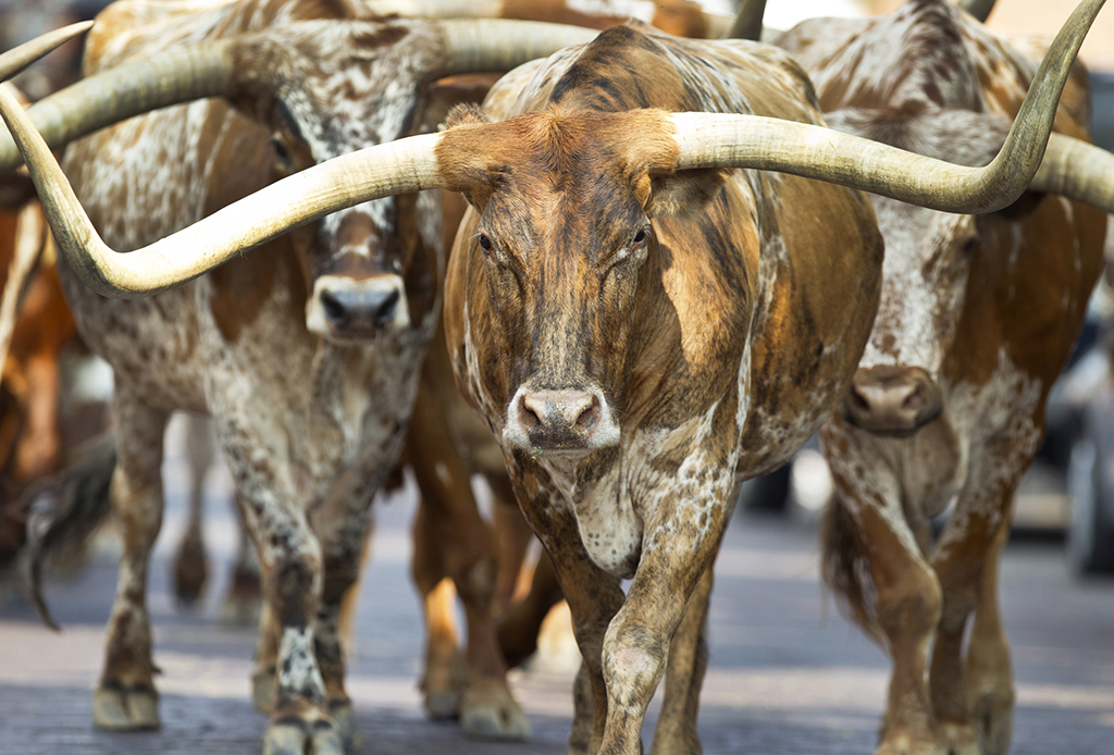 More Than a Cow Town: Heating And AC Repair | Fort Worth, TX