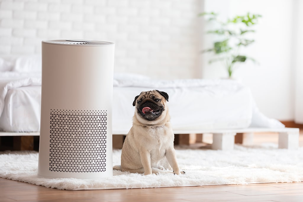How to Enhance Indoor Air Quality with UV Air Purifiers