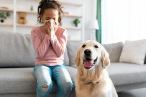 How Can an Air Conditioner Installation Professional Help You Deal with Pet Allergies?