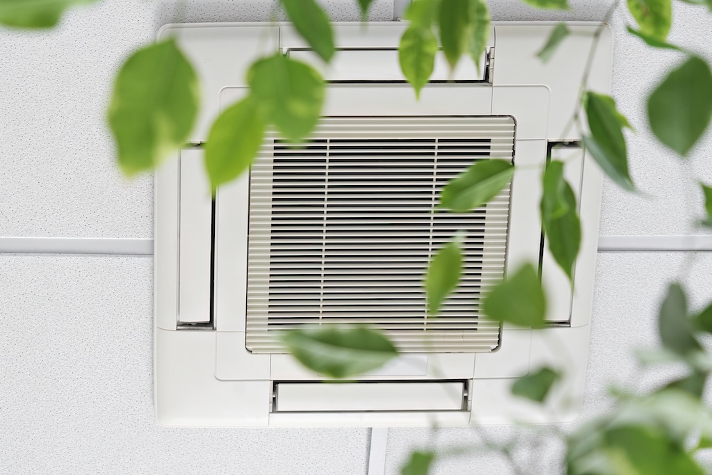 Cassette Air Conditioner on ceiling in modern light office or apartment with green ficus plant leaves. Indoor air quality and clean filters concept. Duct Cleaning