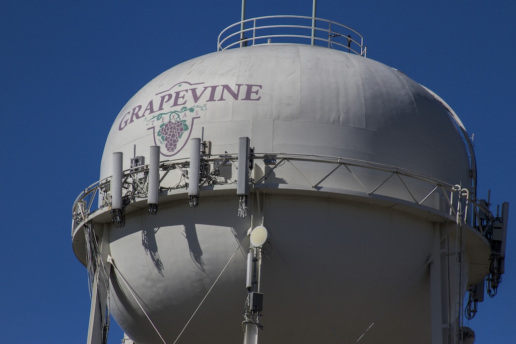 Grapevine