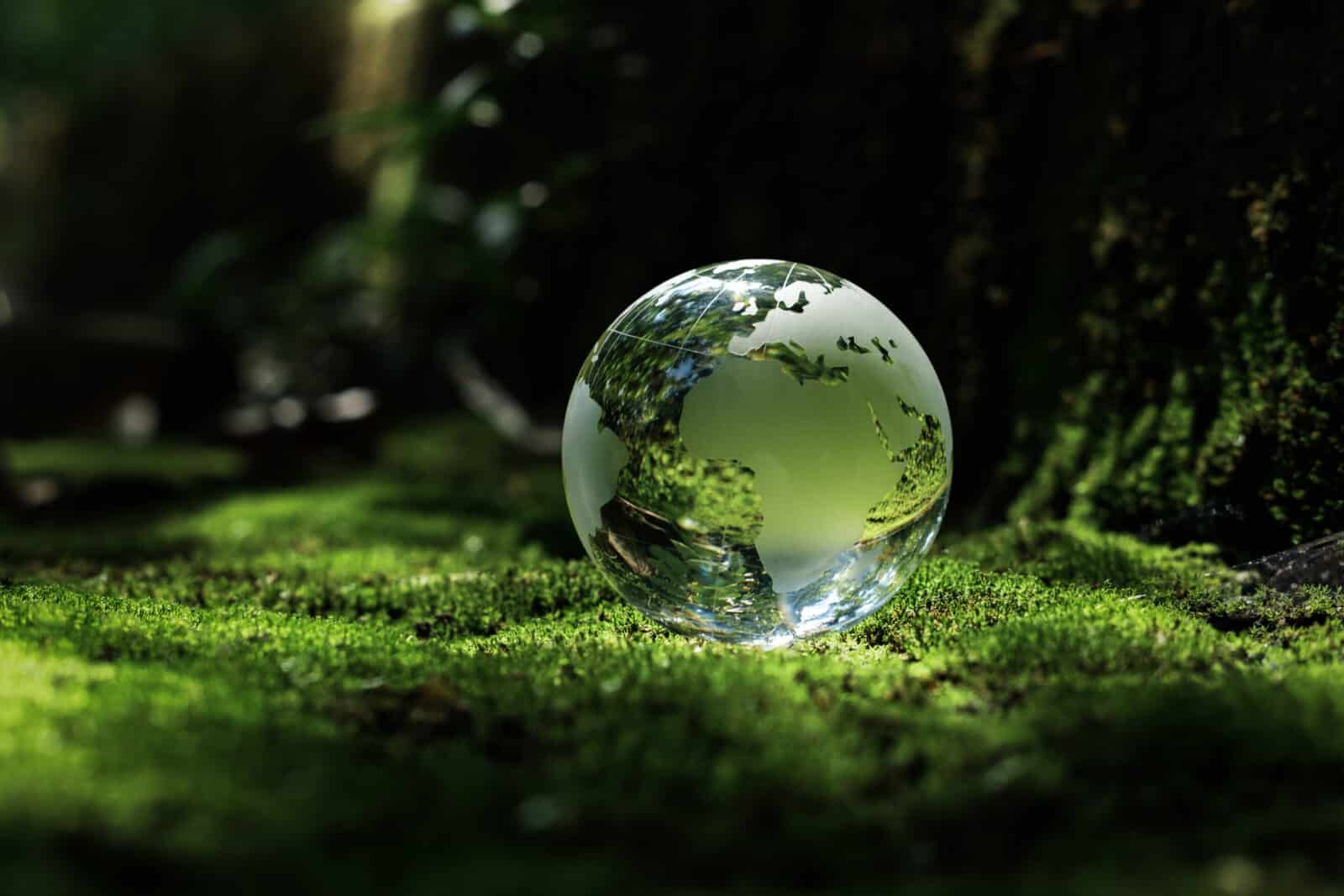 Top Questions Answered on 2025 EPA Refrigerant Regulations One Hour Air Conditioning & Heating