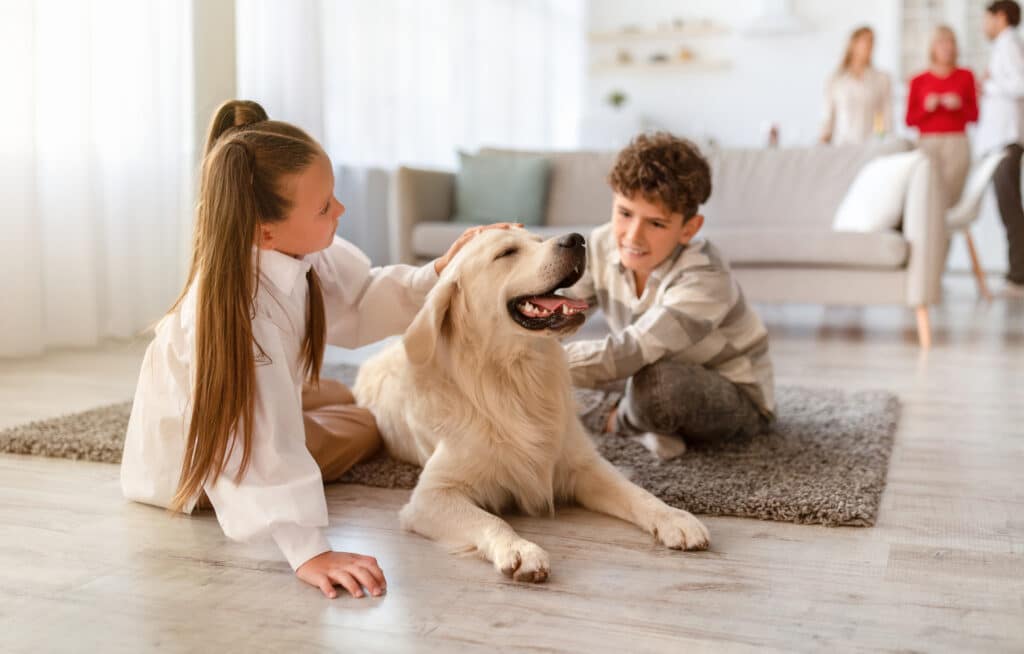 Best Humidifiers to Reduce Allergy Symptoms