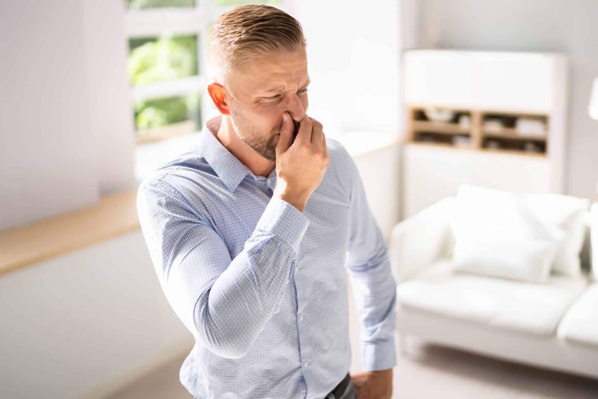 Bad smell or odor from air conditioner in house, Air Ducts.