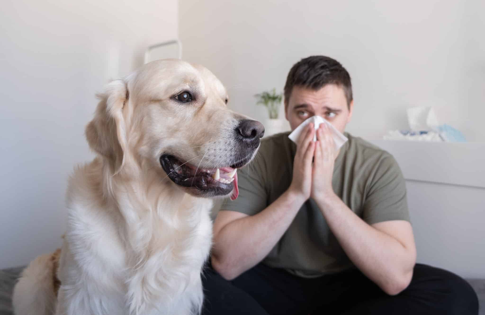 Animal allergy concept, Air Purifier.