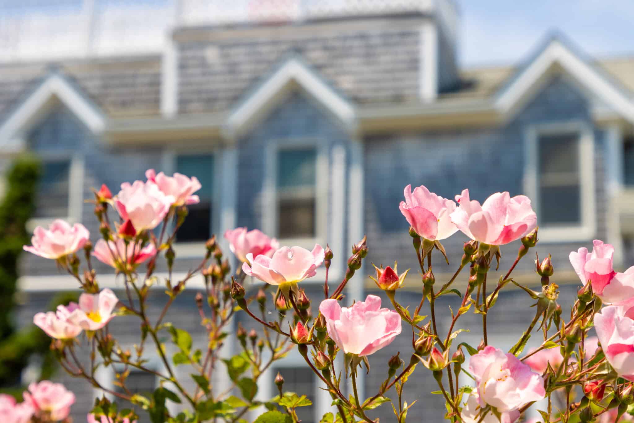 Optimal Thermostat Settings for Spring Climate.