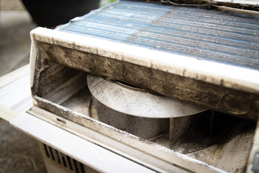 Advanced Techniques in HVAC Mold Prevention