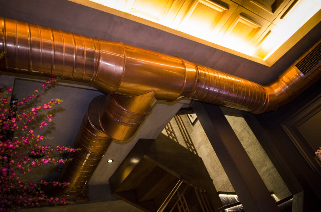 Duct Sanitizer Treatment in Aledo