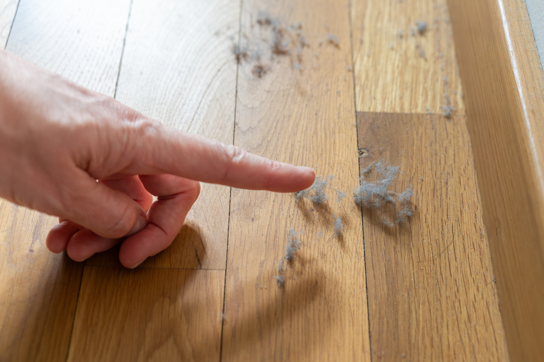 Dust, Airflow problems, UV germicidal light.