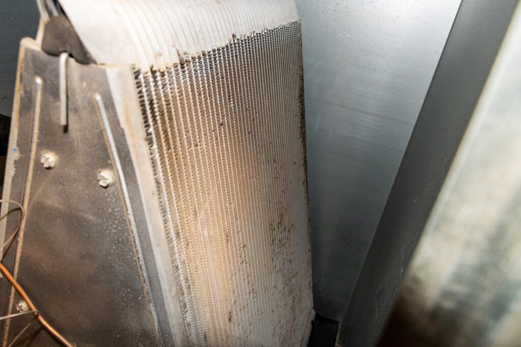 Indoor Coil Cleaning in Argyle That Restores Cooling Performance