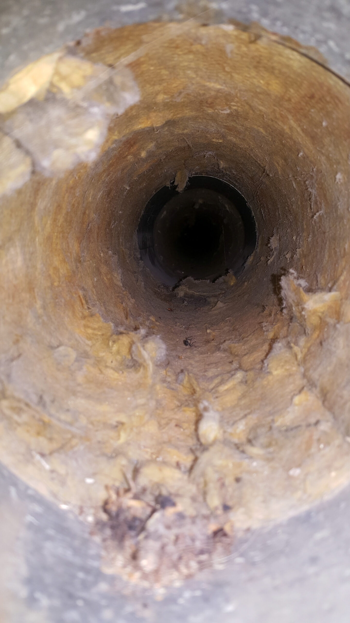 Showing a significant accumulation of dust, dirt, and insulation debris, HVAC odor control.